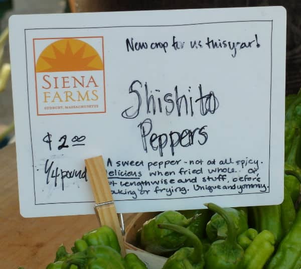 Sign for Shishito Peppers