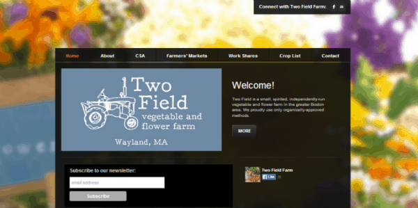 Two Field Farm home page
