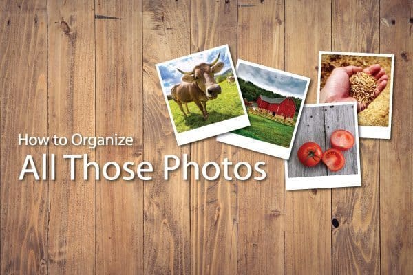 How to Organize All Those Photos