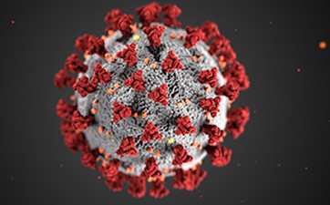 CDC illustration of Coronavirus